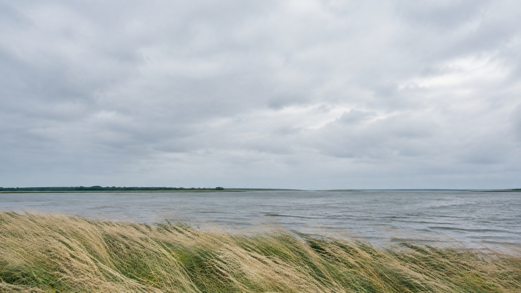 A wide view of wind-bent grass and a slow river under an overcast sky, with the horizon low in the frame